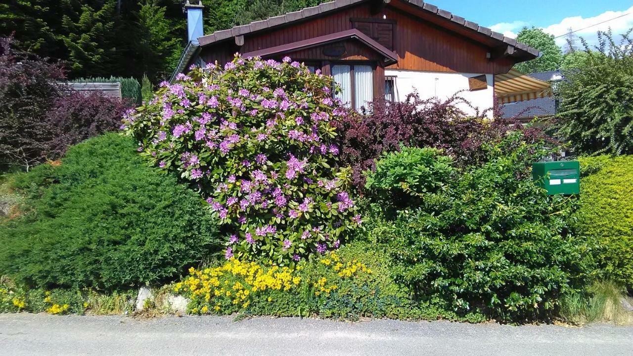 Villa Le Reposion Saint-Amé Esterno foto